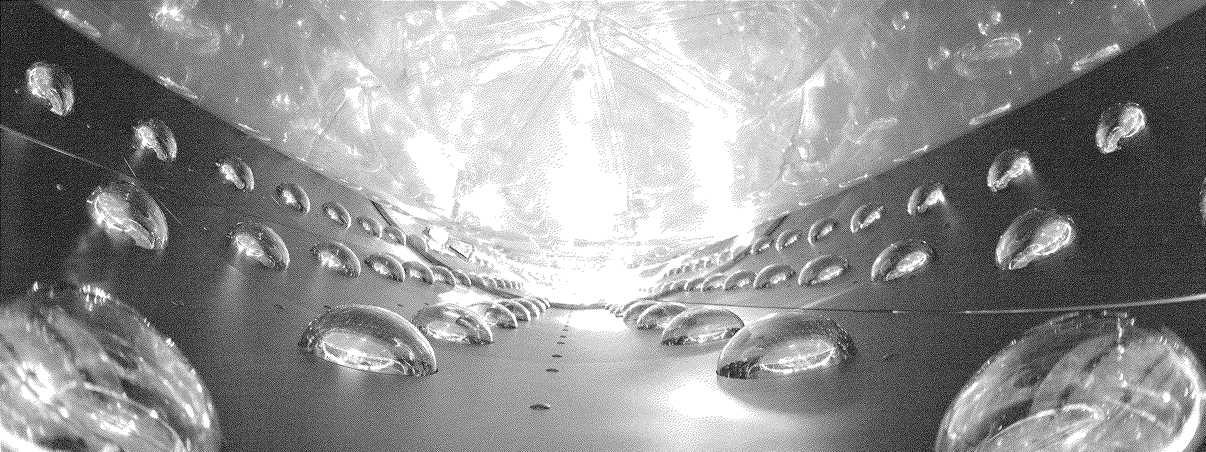 Rows of photomultiplier tubes lining the Daya Bay antineutrino detector.