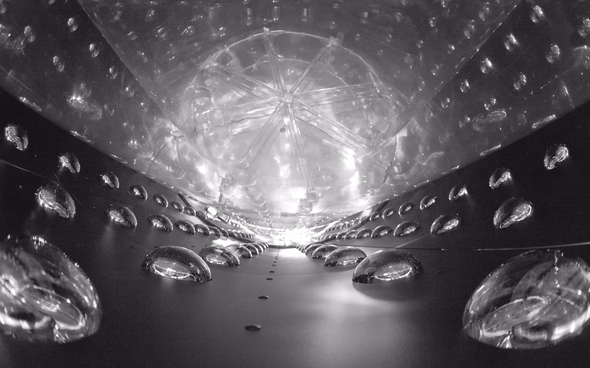 Rows of photomultiplier tubes lining the Daya Bay antineutrino detector.